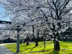 守りの神　藤基神社(新潟県)