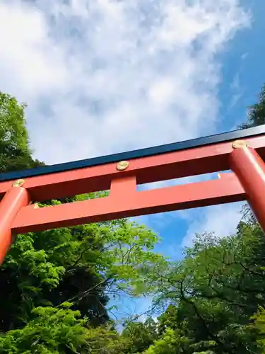 香取神宮(千葉県)