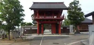 金剛寺の山門