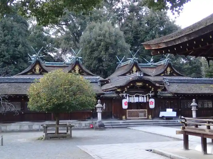 平野神社の本殿・本堂