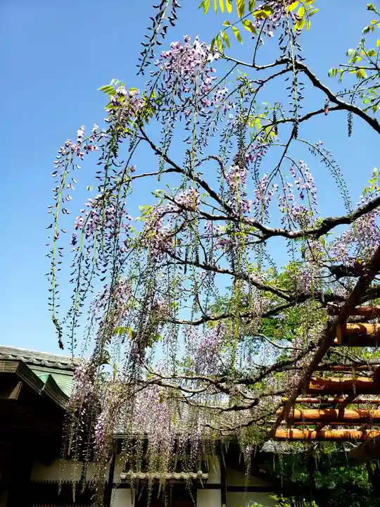 愛染院(東京都)