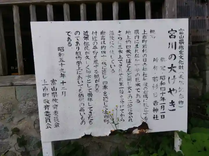 日吉神社の{uncategorized: "未分類", other: "その他", undefined: "問題あり", building: "その他建物", grave: "お墓", sacred_gate: "鳥居", guardian: "狛犬", statue: "像", buddha: "仏像", history: "歴史", nature: "自然", garden: "庭園", animal: "動物", pagoda: "塔", temizu: "手水舎", mountain_gate: "山門・神門", sanctuary: "本殿・本堂", subordinate: "末社・摂社", art: "芸術", scenery: "景色", jizo: "地蔵", ema: "絵馬", goshuin: "御朱印", omikuji: "おみくじ", items: "授与品その他", amulet: "お守り", goshuincho: "御朱印帳", eats: "食事", festival: "お祭り", votive_dance: "神楽", shichigosan: "七五三参", wedding: "結婚式", experience: "体験その他", initially: "初詣", around: "周辺", anti_infection: "感染症対策"}