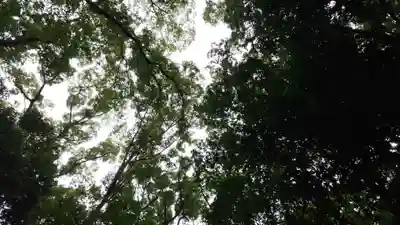 賀茂御祖神社（下鴨神社）(京都府)