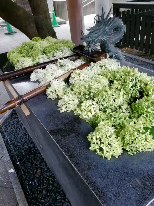 熊野神社(東京都)