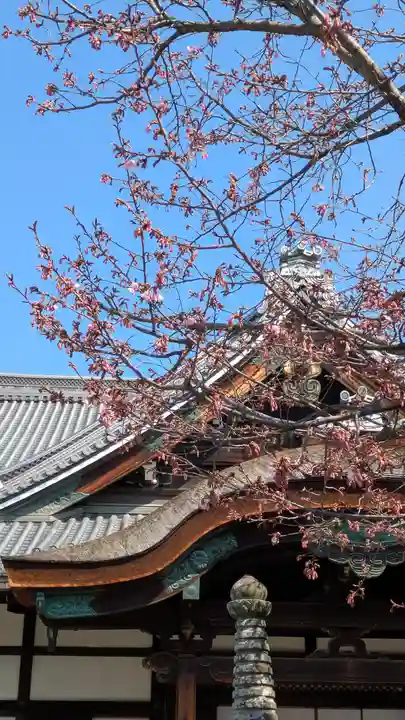 清浄華院(京都府)