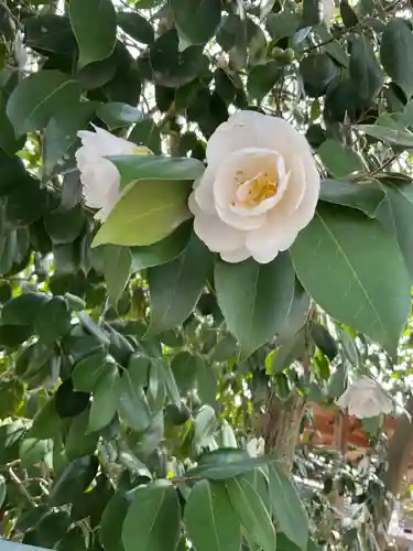 新羅神社の庭園