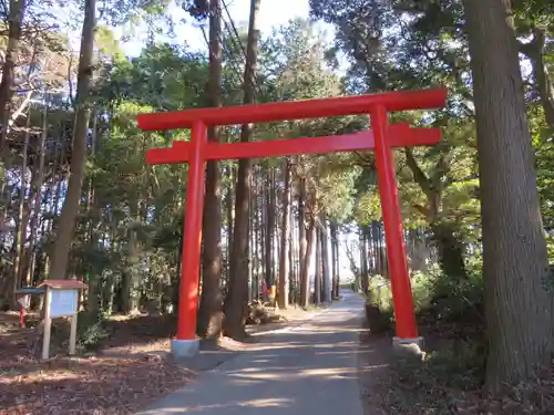 戸隠神社の鳥居