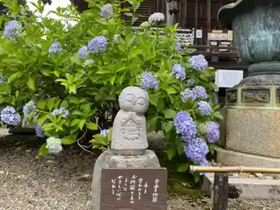 観音寺(京都府)