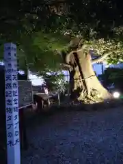 音無神社の自然