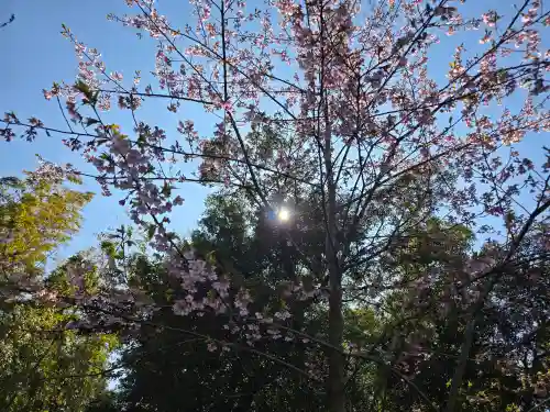 林昌寺(大阪府)