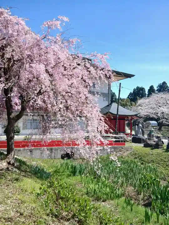 白狐山光星寺(山形県)