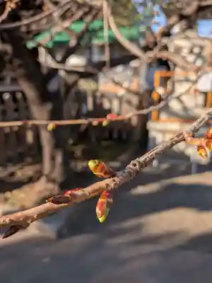 新宿下落合氷川神社(東京都)