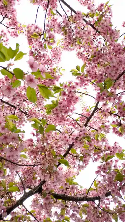 後白河院御聖蹟 法住寺(京都府)