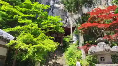 橋立堂(埼玉県)