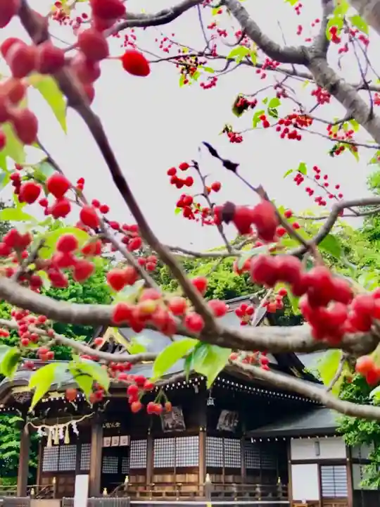 女化神社の自然