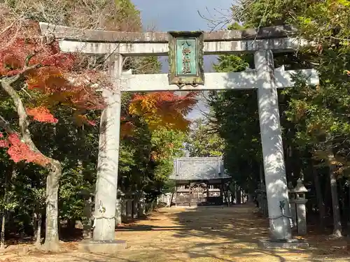 八幡神社(滋賀県)