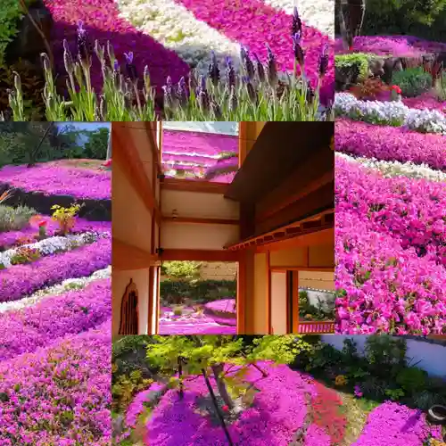 寿量山　速成寺(奈良県)