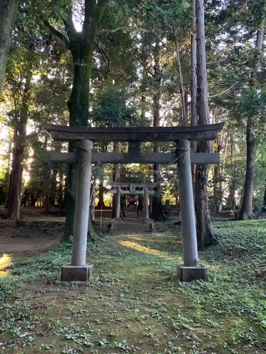 諏訪神社(千葉県)