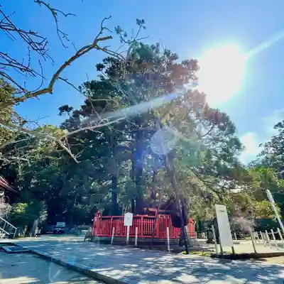 香椎宮(福岡県)