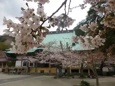 光明寺の本殿・本堂