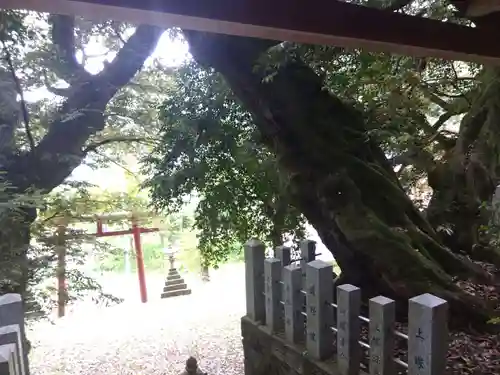 田結神社(福井県)