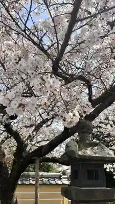 水田天満宮の{uncategorized: "未分類", other: "その他", undefined: "問題あり", building: "その他建物", grave: "お墓", sacred_gate: "鳥居", guardian: "狛犬", statue: "像", buddha: "仏像", history: "歴史", nature: "自然", garden: "庭園", animal: "動物", pagoda: "塔", temizu: "手水舎", mountain_gate: "山門・神門", sanctuary: "本殿・本堂", subordinate: "末社・摂社", art: "芸術", scenery: "景色", jizo: "地蔵", ema: "絵馬", goshuin: "御朱印", omikuji: "おみくじ", items: "授与品その他", amulet: "お守り", goshuincho: "御朱印帳", eats: "食事", festival: "お祭り", votive_dance: "神楽", shichigosan: "七五三参", wedding: "結婚式", experience: "体験その他", initially: "初詣", around: "周辺", anti_infection: "感染症対策"}