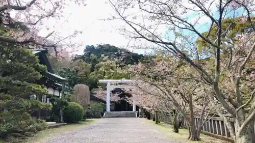 安房神社(千葉県)