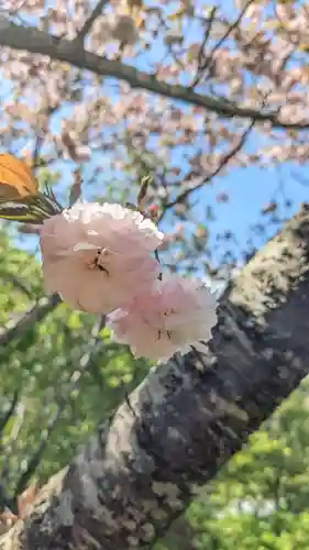 本勝寺(静岡県)