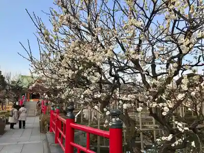 亀戸天神社(東京都)