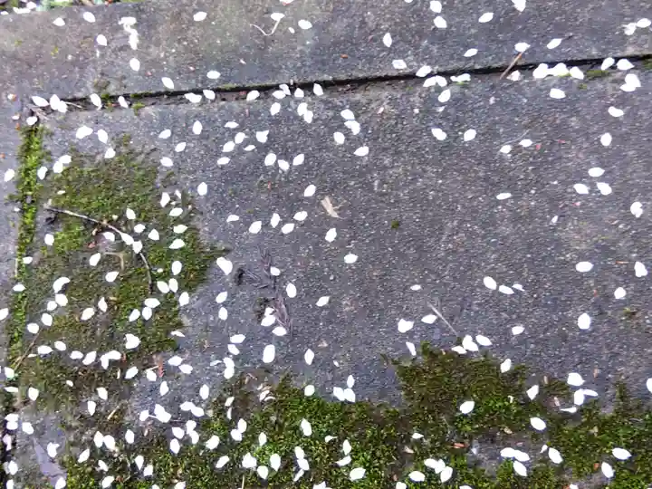 城福寺(福井県)