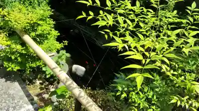 霊源院(京都府)