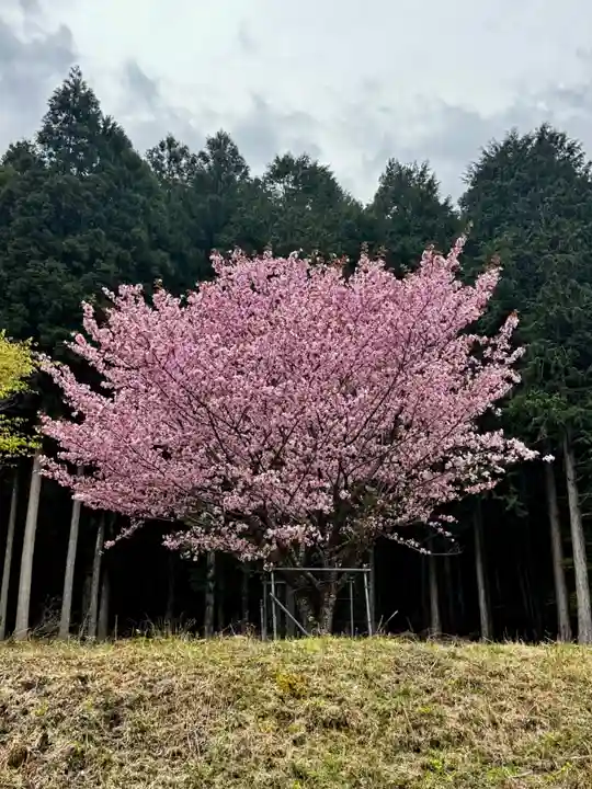 春日神社(京都府)