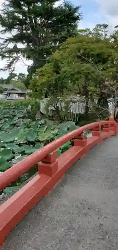 鶴岡八幡宮の庭園