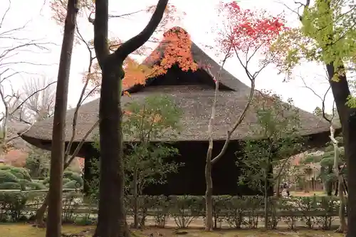 平林寺(埼玉県)