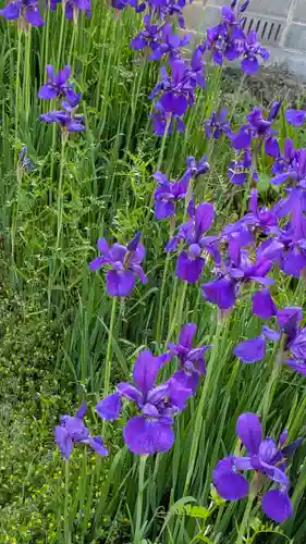 桜山天満宮(京都府)