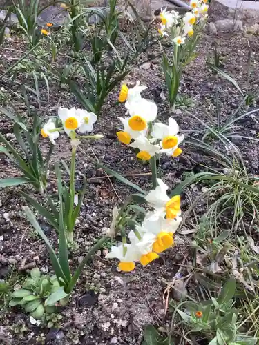 三輪神社の自然
