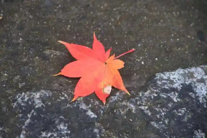 三春大神宮の自然