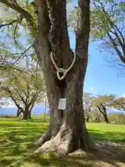 愛宕神社(岩手県)