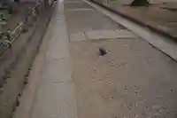 三芳野神社の動物