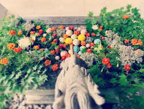 滑川神社 - 仕事と子どもの守り神の手水舎