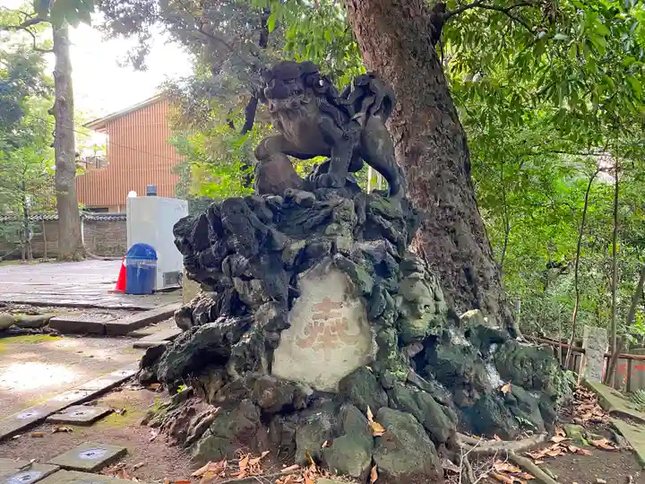 赤坂氷川神社の狛犬