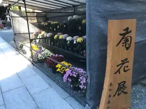 小國神社のその他建物