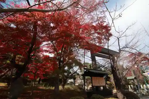 開成山大神宮の鳥居