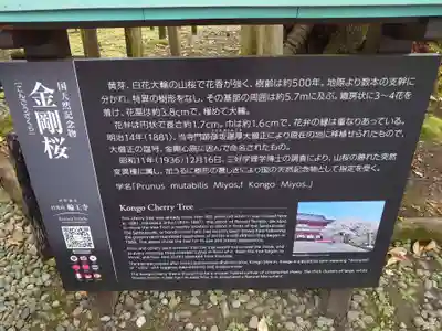 輪王寺(栃木県)