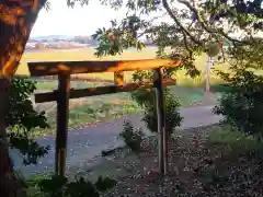 神社(名称不明)の鳥居