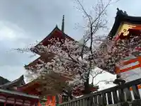 清水寺(京都府)
