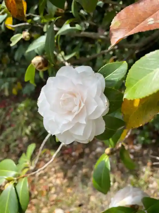 城南宮(京都府)