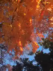 福住厳島神社の自然