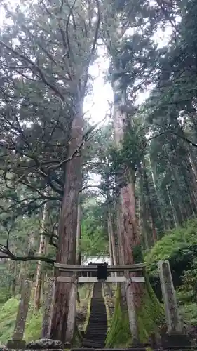 加蘇山神社のその他建物