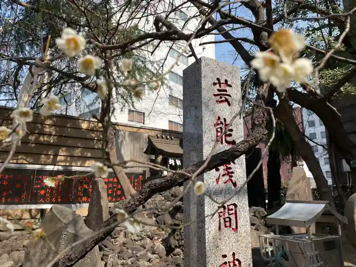 花園神社の自然